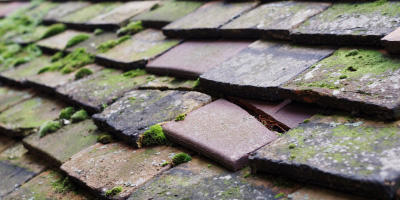 Tintagel roof repair costs